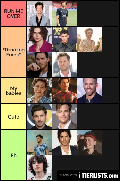 Tier