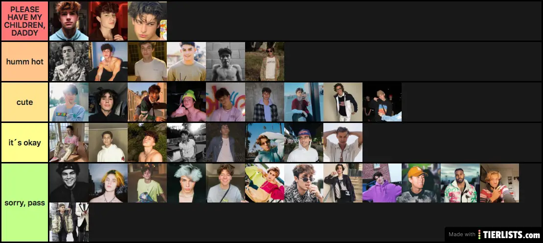 TIKTOK BOYZ