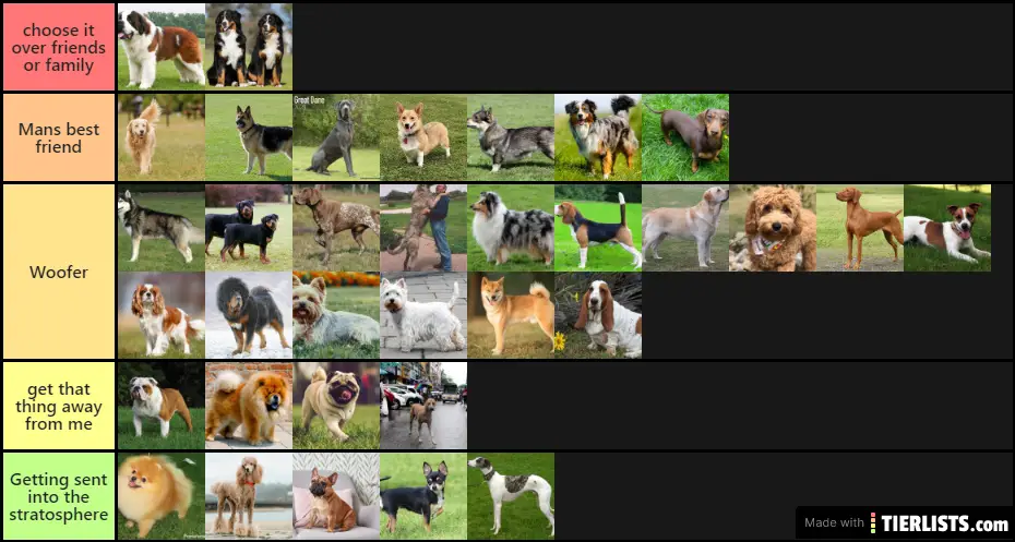 WOOF WOOF